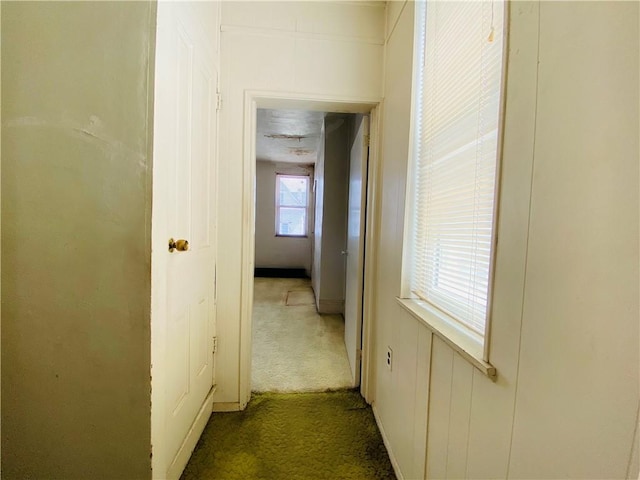 811 Farragut St, Highland Park, PA 15206 - corridor featuring carpet