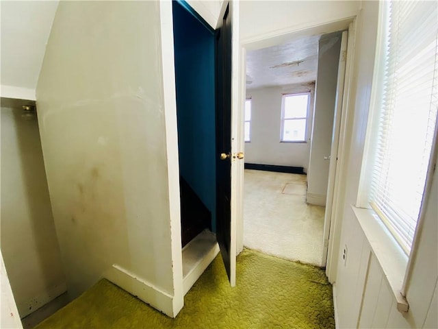 811 Farragut St, Highland Park, PA 15206 - corridor featuring light colored carpet and baseboards