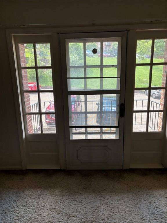 doorway featuring healthy amount of natural light