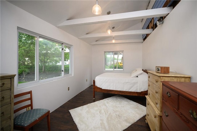 115 River Ave, Glenfield, PA 15143 - bedroom featuring multiple windows and dark wood-style flooring