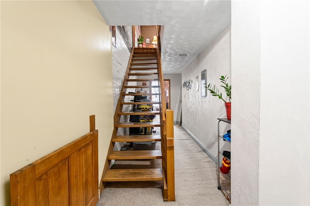 stairway with carpet flooring