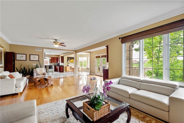 living area featuring ornamental molding, french doors, ceiling fan, and wood finished floors