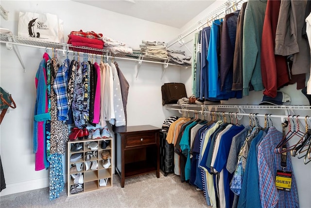 216 Settlers Ct, Peters Twp, PA 15367 - spacious closet with carpet