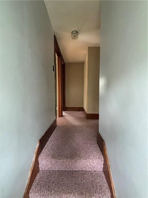 stairs with carpet and baseboards