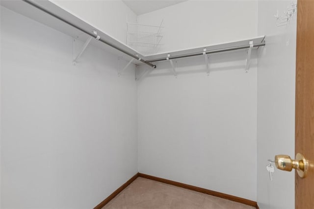 567 Brandywine Dr, Cranberry Twp, PA 16066 - spacious closet featuring light carpet