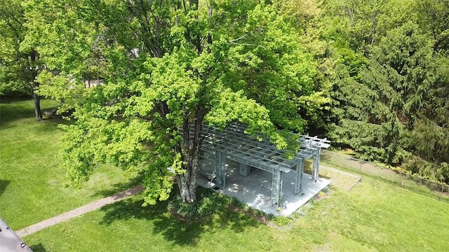 bird's eye view