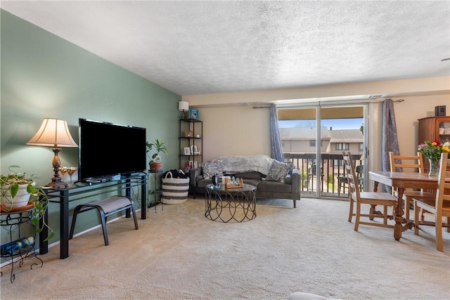 carpeted living area featuring a textured ceiling