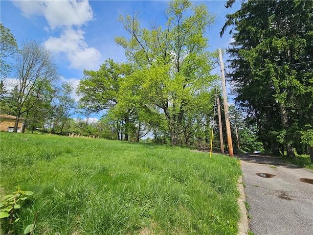 256 Duff Rd, Penn Hills, PA 15235 - view of yard