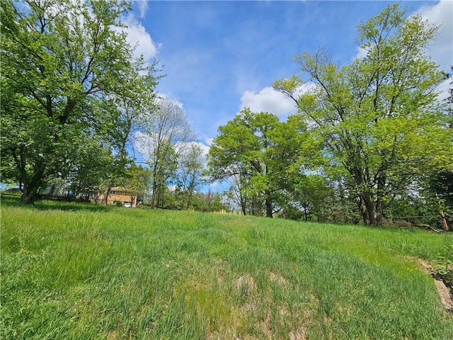 256 Duff Rd, Penn Hills, PA 15235 - view of yard
