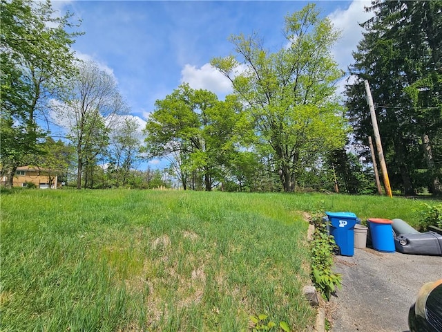 256 Duff Rd, Penn Hills, PA 15235 - view of yard