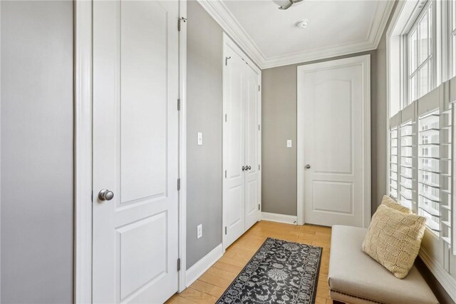 1241 Newbury Highland, South Fayette, PA 15017 - foyer with plenty of natural light, ornamental molding, light wood-style floors, and baseboards