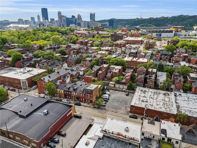 drone / aerial view of a skyline view
