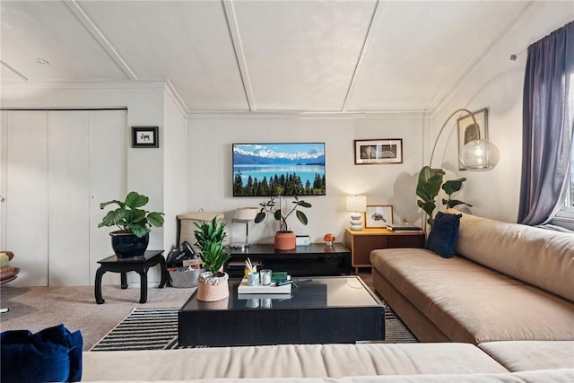 living area featuring carpet flooring