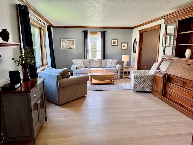 111 Mccall Rd, Franklin Twp But, PA 16001 - living area with light wood-style flooring, crown molding, and a textured ceiling