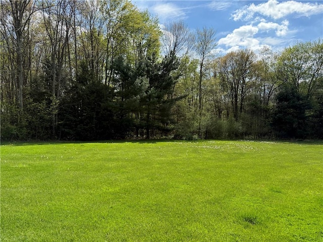 111 Mccall Rd, Franklin Twp But, PA 16001 - view of grassy yard