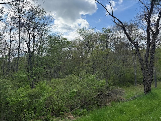 111 Mccall Rd, Franklin Twp But, PA 16001 - view of tree filled area