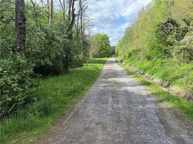 111 Mccall Rd, Franklin Twp But, PA 16001 - view of dirt / gravel road with a wooded view