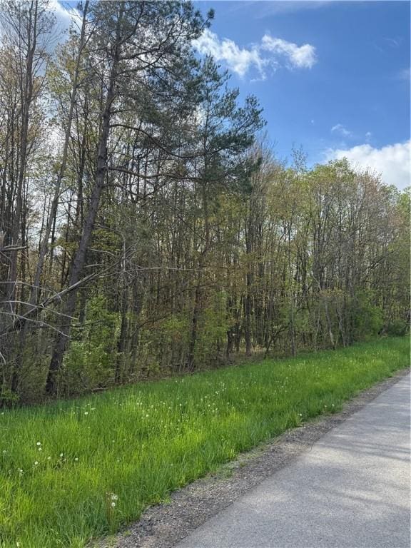 111 Mccall Rd, Franklin Twp But, PA 16001 - view of asphalt road with a view of trees