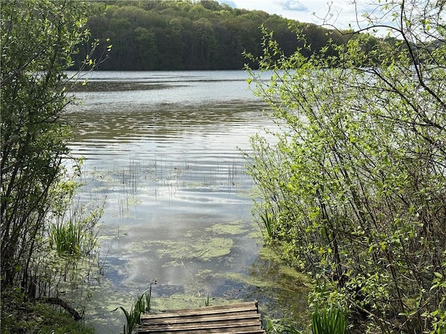 111 Mccall Rd, Franklin Twp But, PA 16001 - water view with a heavily wooded area