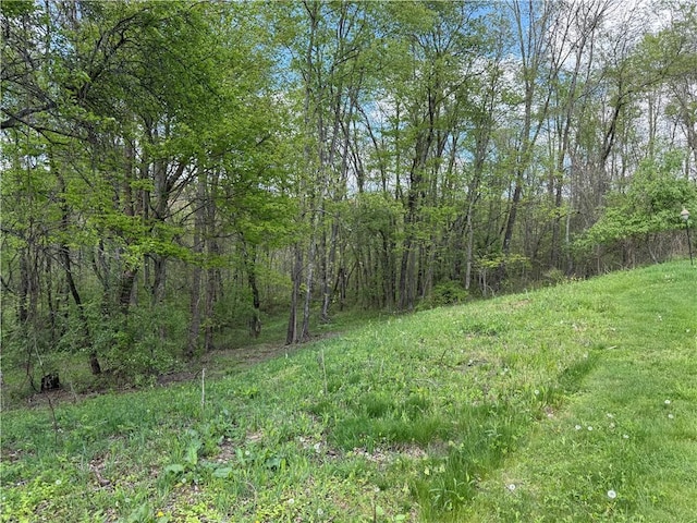 111 Mccall Rd, Franklin Twp But, PA 16001 - view of woods