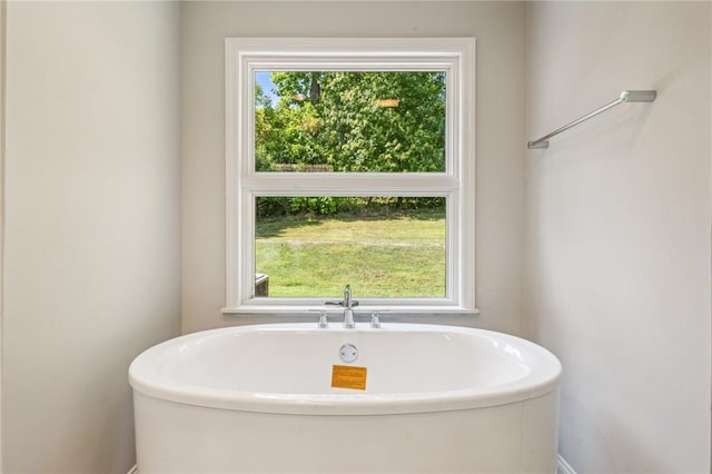 full bath featuring plenty of natural light and a freestanding bath