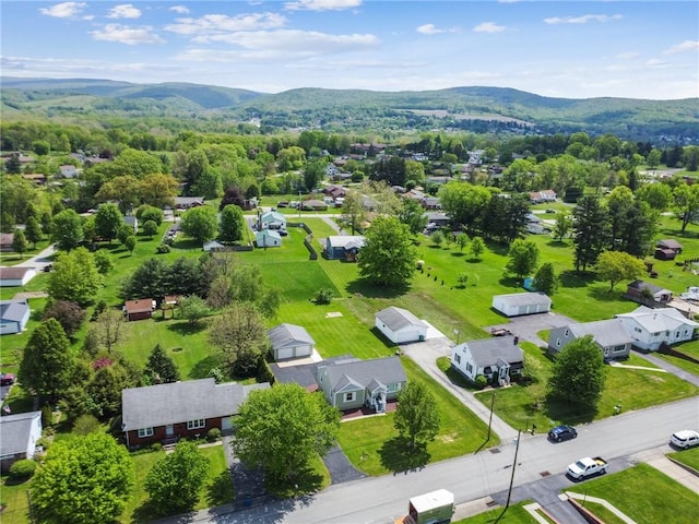 aerial perspective of suburban area with a mountain backdrop