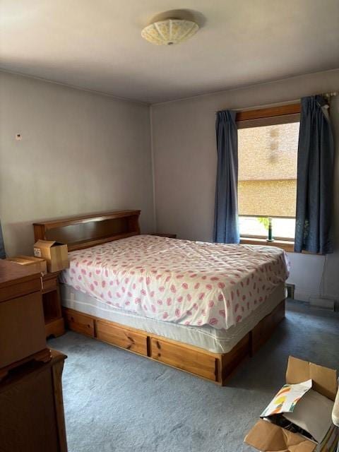 438 Fayette Springs Rd, Wharton Twp, PA 15421 - bedroom featuring carpet