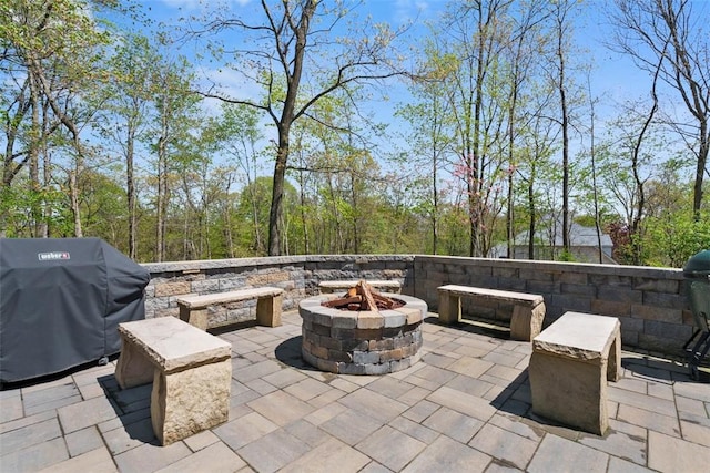 149 Walnut Ridge Dr, Chippewa Twp, PA 15010 - view of patio / terrace featuring an outdoor fire pit and area for grilling