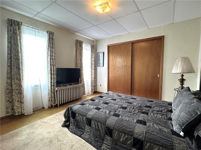 bedroom with radiator heating unit, light wood-style flooring, a closet, and a drop ceiling