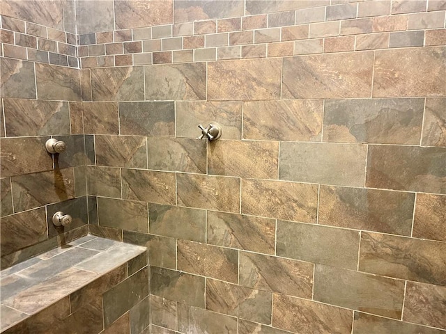 bathroom view of a tile shower