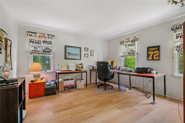 home office featuring plenty of natural light and wood finished floors