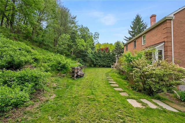 view of grassy yard