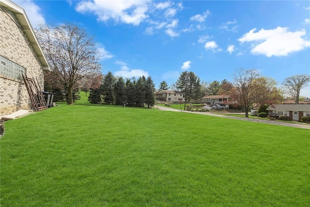view of grassy yard