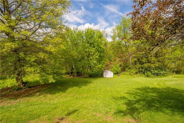 view of green lawn with a storage unit and an outdoor structure