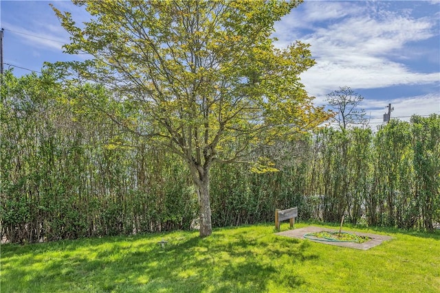 view of grassy yard