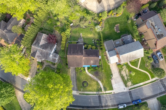 bird's eye view