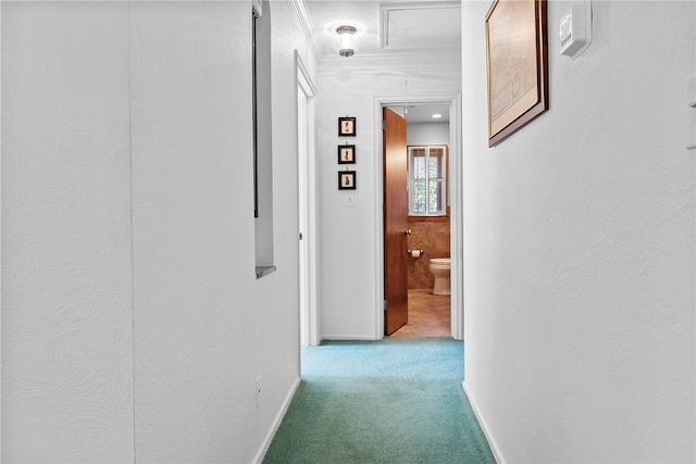 corridor featuring carpet flooring, attic access, and baseboards