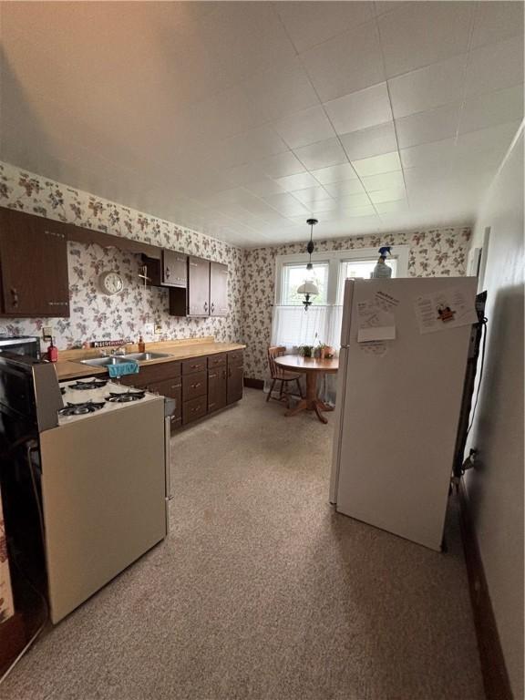 kitchen with white appliances, wallpapered walls, a sink, dark brown cabinetry, and light carpet