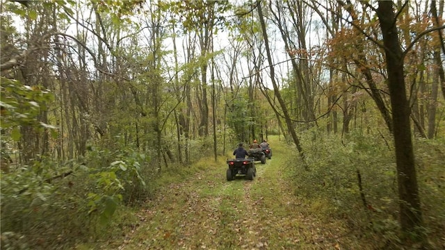 4038 State Route 156, Kiskiminetas Twp, PA 15618 - view of tree filled area