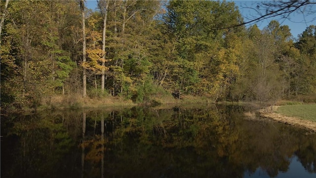 4038 State Route 156, Kiskiminetas Twp, PA 15618 - view of tree filled area featuring a water view