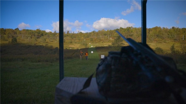 4038 State Route 156, Kiskiminetas Twp, PA 15618 - view of grassy yard with a wooded view
