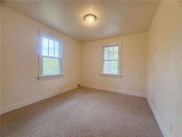 spare room with plenty of natural light, light carpet, and baseboards