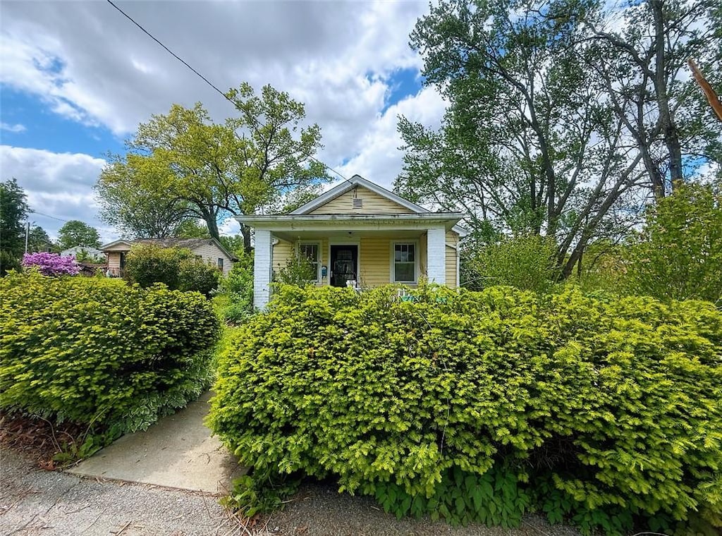 251 Neilson Ave, Ohara, PA 15238 - photo 1