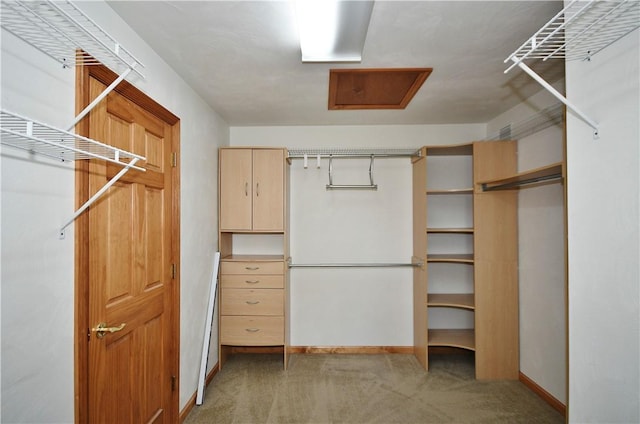 1004 Cicero Dr, Hempfield Twp Wml, PA 15642 - spacious closet with light colored carpet and attic access
