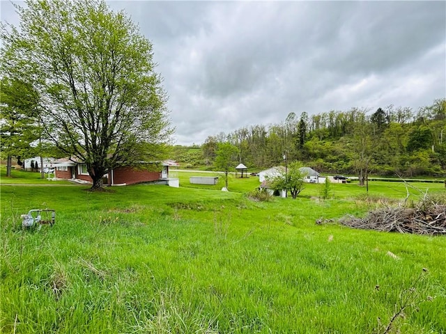 90 Dague Ln, South Franklin, PA 15301 - view of yard