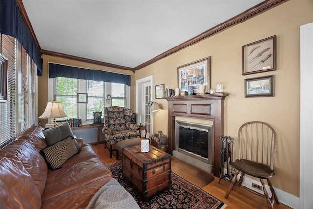 living area featuring wood finished floors, a glass covered fireplace, ornamental molding, and baseboards