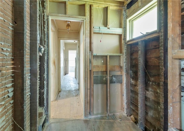 corridor featuring plenty of natural light and hardwood / wood-style floors