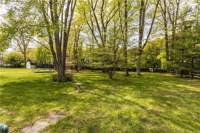 677 Olive St, Mccandless, PA 15237 - view of yard with a trampoline, a shed, and an outdoor structure