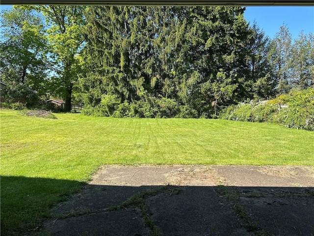 316 Franklin Dr, Peters Twp, PA 15241 - view of grassy yard