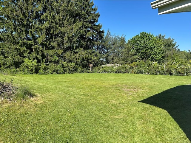 316 Franklin Dr, Peters Twp, PA 15241 - view of grassy yard